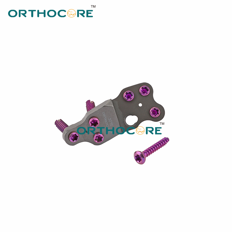 DPO6