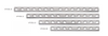 3.5mm DCP Broad Compression Bone Plate Stainless Steel 