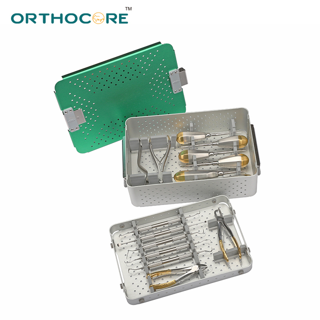 Small Animal Dental Instruments Set