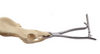 KERN Bone Holding Forceps