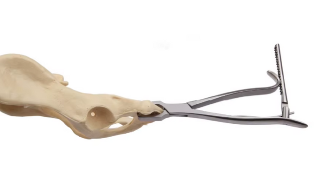 KERN Bone Holding Forceps