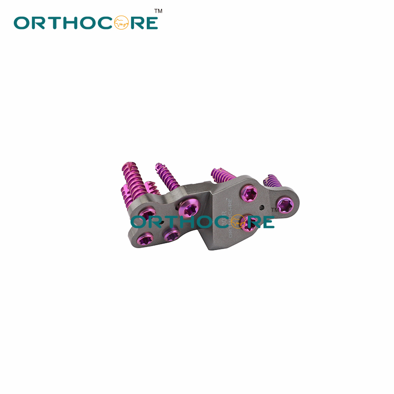 DPO5